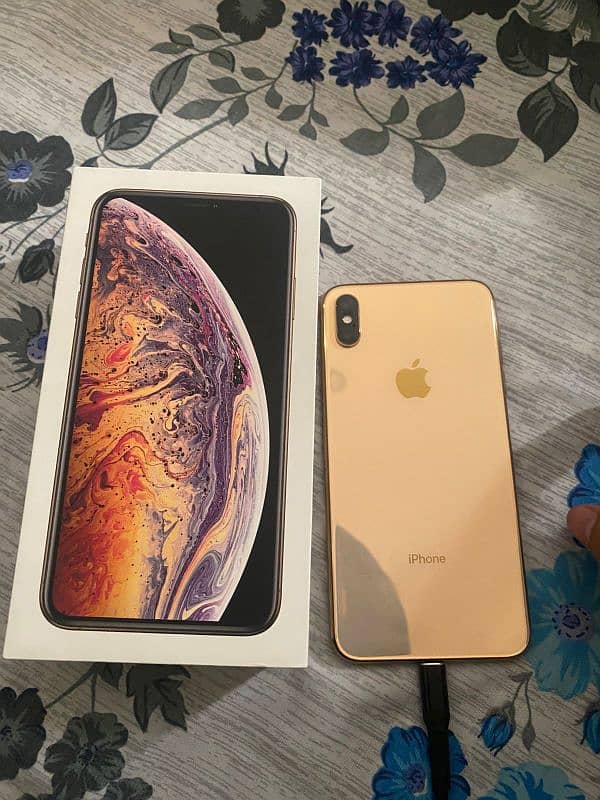 Xs max 512gb 4