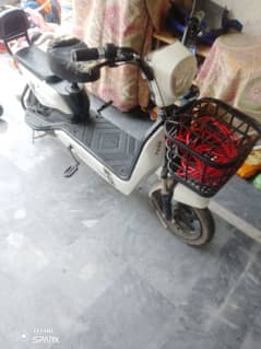 reen e electric bike