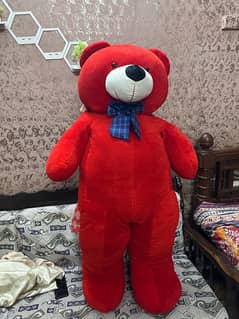 Brand New Teddy Bear Available For Sale.