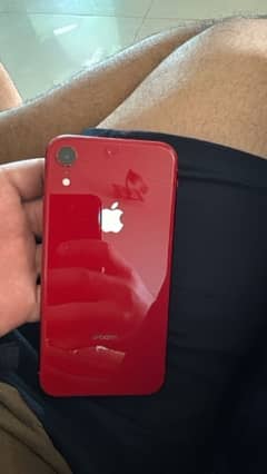 iPhone XR 128GB PTA APPROVED