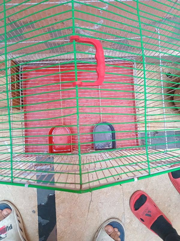 High Quality Bird Cage 2