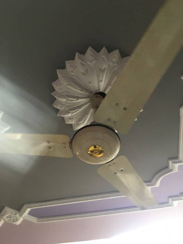 Royal Fan Pure copper 56" 0