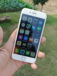 iPhone pta  approved 16gb 6    10 by 9 condition