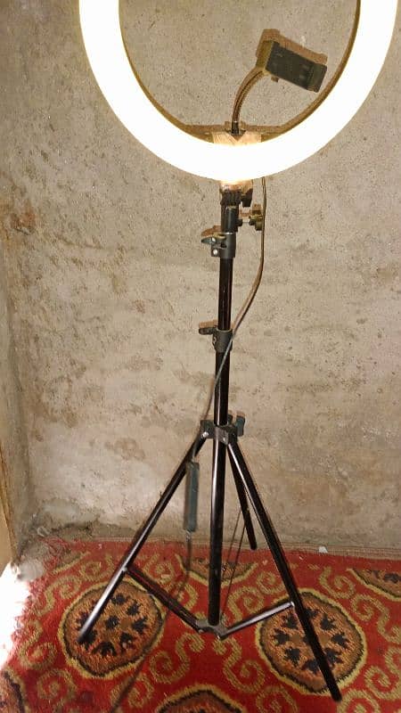 ring light Tik Tok stand 10 by 10 condition 0