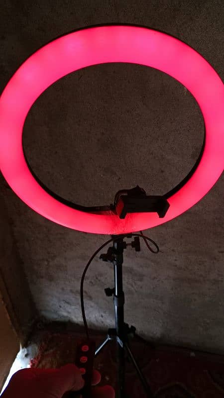 ring light Tik Tok stand 10 by 10 condition 1