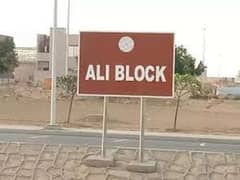 "ALI BLOCK 125sq yd PLOT in Precicnt-12 Near Grand Mosque. Plots available at Investor Rates. Ready for Construction. BEST PRECINCT of 125sq yd of Bahria Town Karachi. "