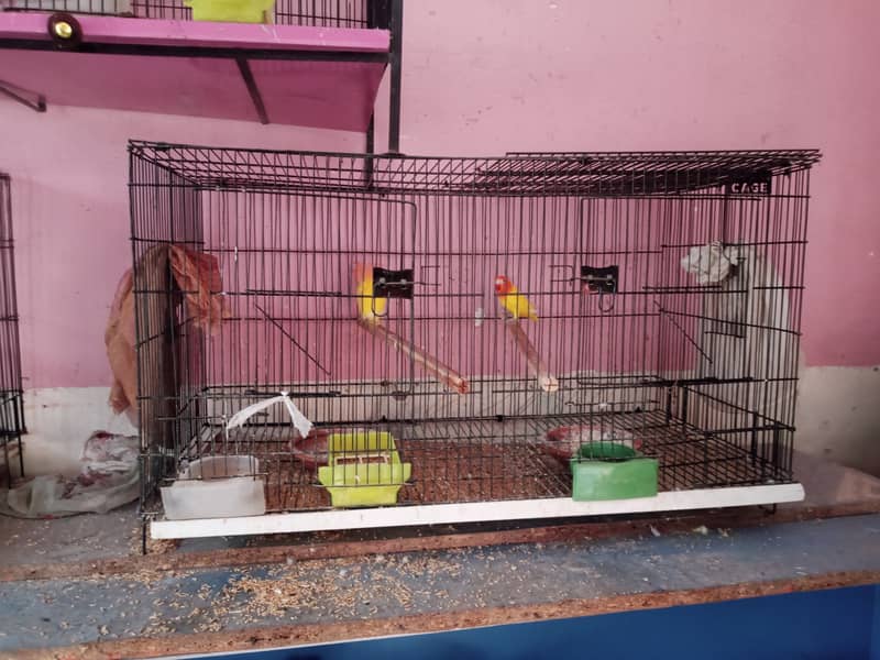 3 cages for sale only for 10000 1