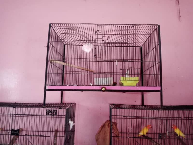 3 cages for sale only for 10000 2