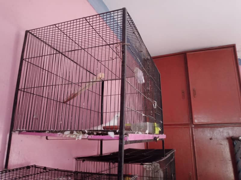 3 cages for sale only for 10000 4