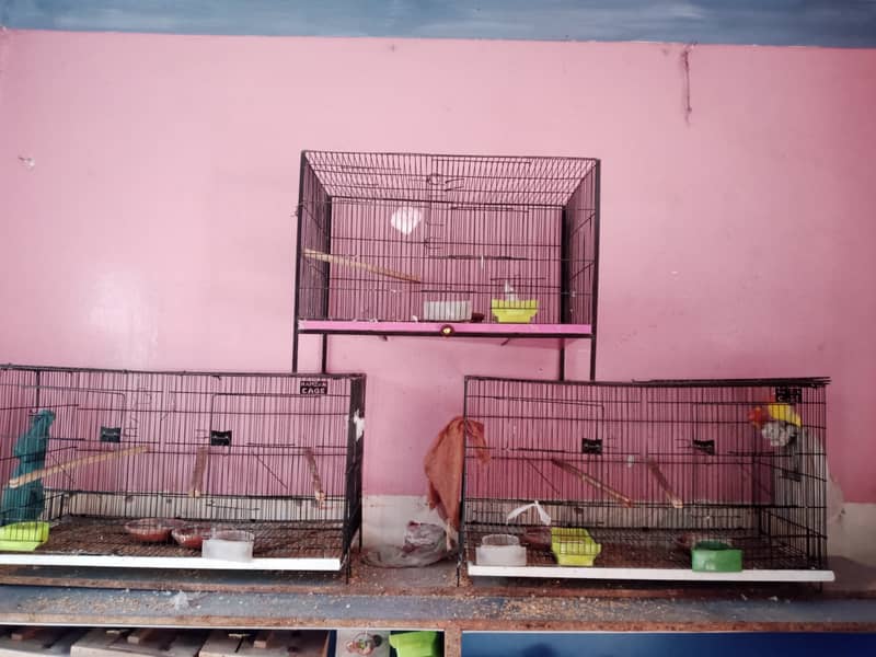 3 cages for sale only for 10000 7