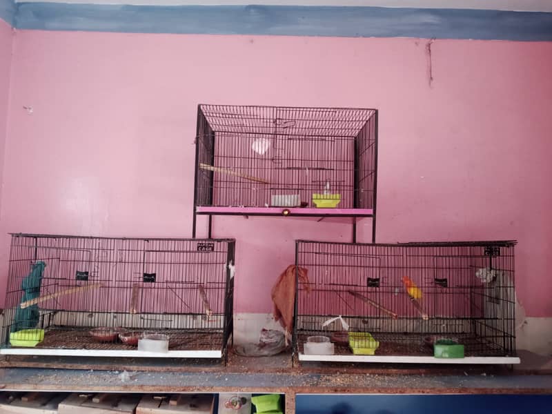 3 cages for sale only for 10000 8