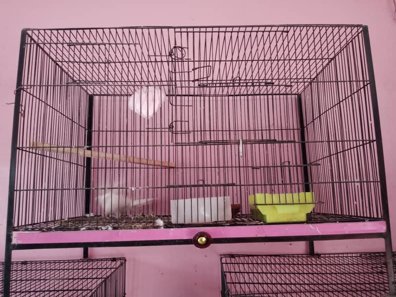 3 cages for sale only for 10000 11