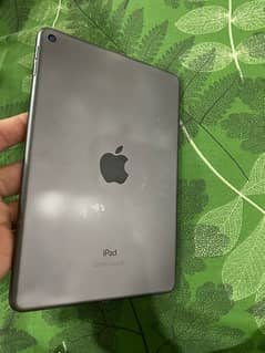 ipad mini 5