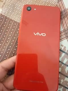 vivo