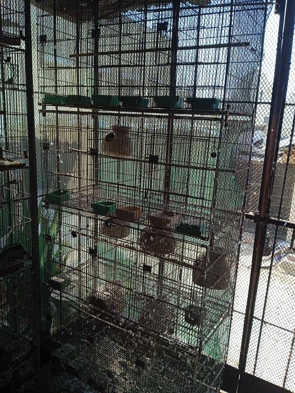 cages for sale 0