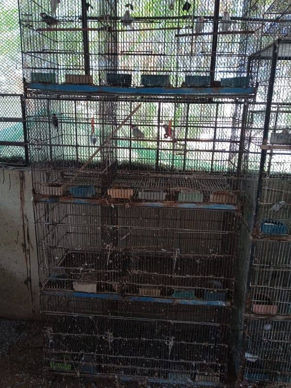 cages for sale 3