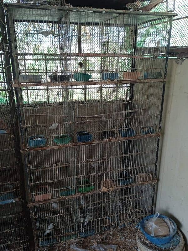 cages for sale 5