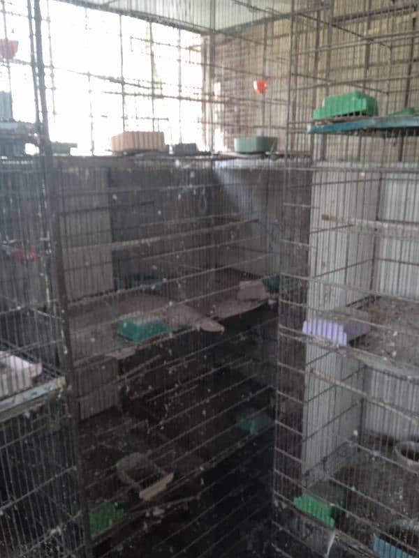 cages for sale 6