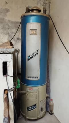 Premium Quality Geyser for Sale