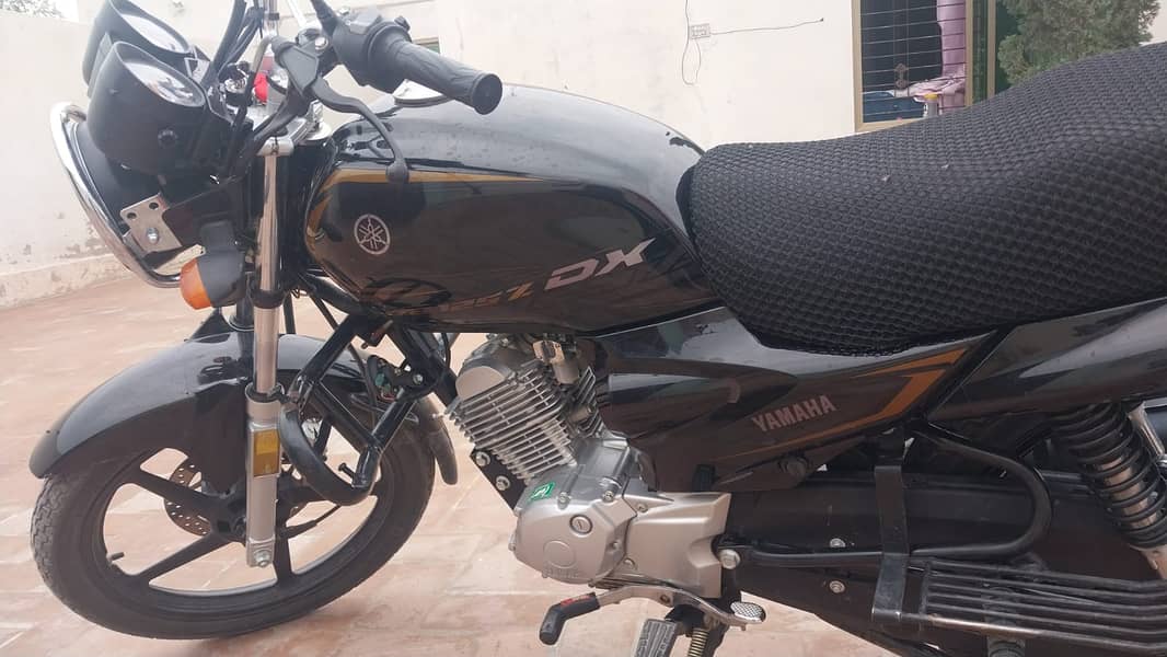 Yamaha YB 125 Z - DX | Model  2024 11