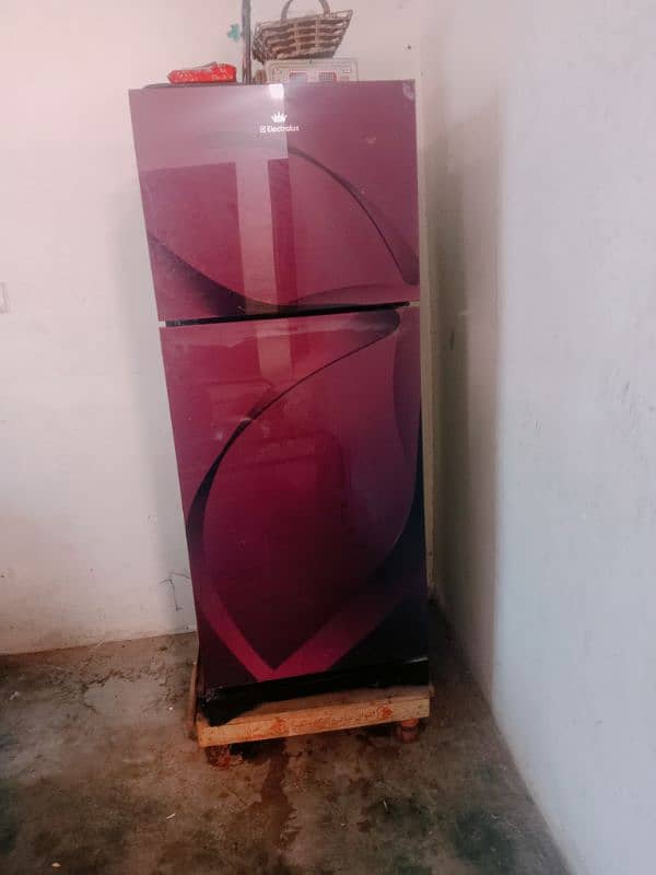 selling fridge 5