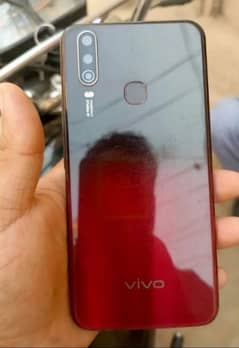 Vivo