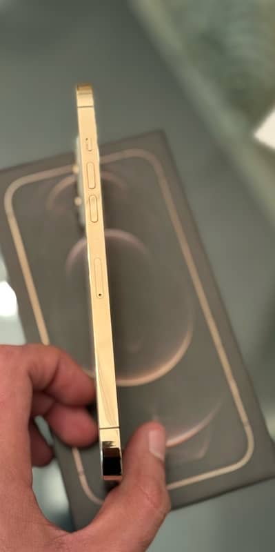 Apple iPhone 12 Pro Max Gold 128GB 1