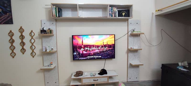 TV Rack and Decor 5