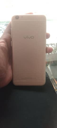 Vivo