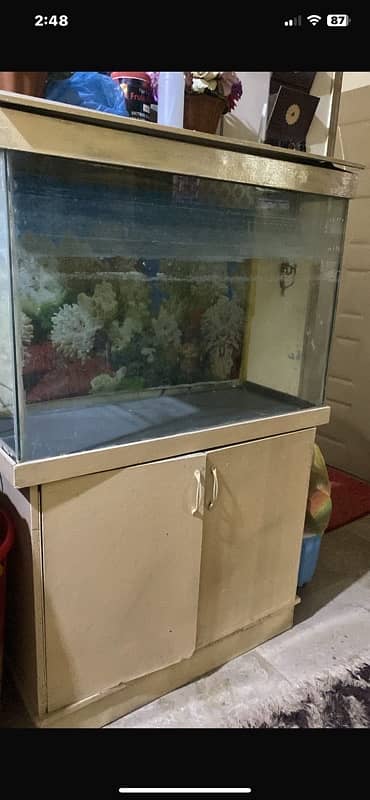 fish aquarium 0