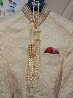 sherwani