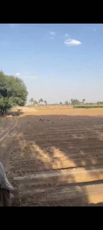 100 Kanal (12.5 Acre) Agriculture land available for sale Inteqaal available at very good location near Ada Subeel on Hasil Pur Road, Hasil Pur 14