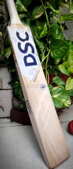 Dsc Pearla Punisher (Cricket Bat)