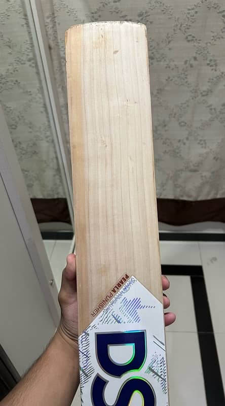 Dsc Pearla Punisher (Cricket Bat) 1