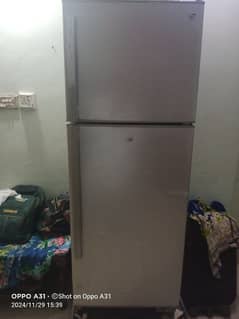 full Size Pel Fridge