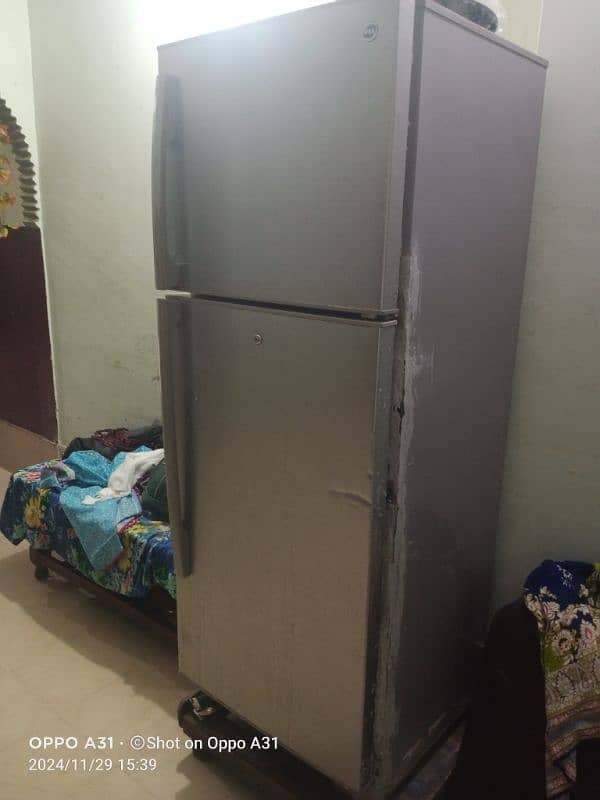 full Size Pel Fridge 2