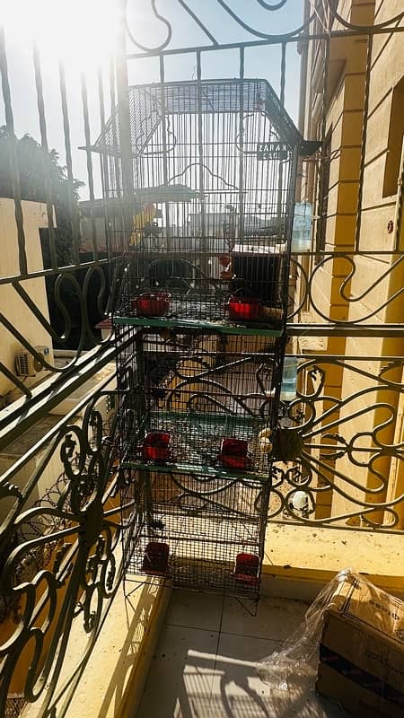 parrot cage for sale with birds 2