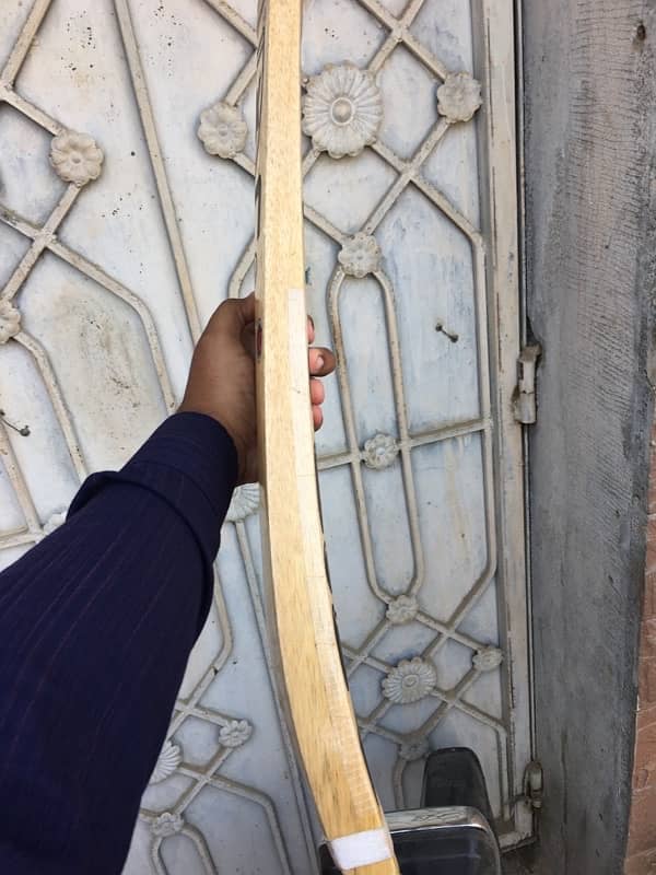 vip coconut bat a plus quality 3