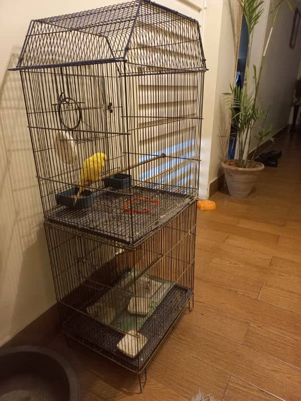 cage for sale 1