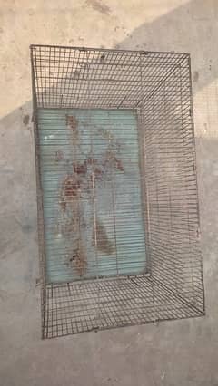 cage urgent sale birds fly cage 2.5 by 1.5 by 1.5