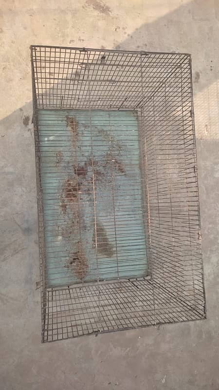 cage urgent sale birds fly cage 2.5 by 1.5 by 1.5 0