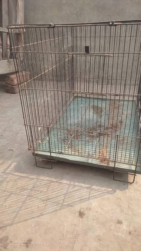 cage urgent sale birds fly cage 2.5 by 1.5 by 1.5 1