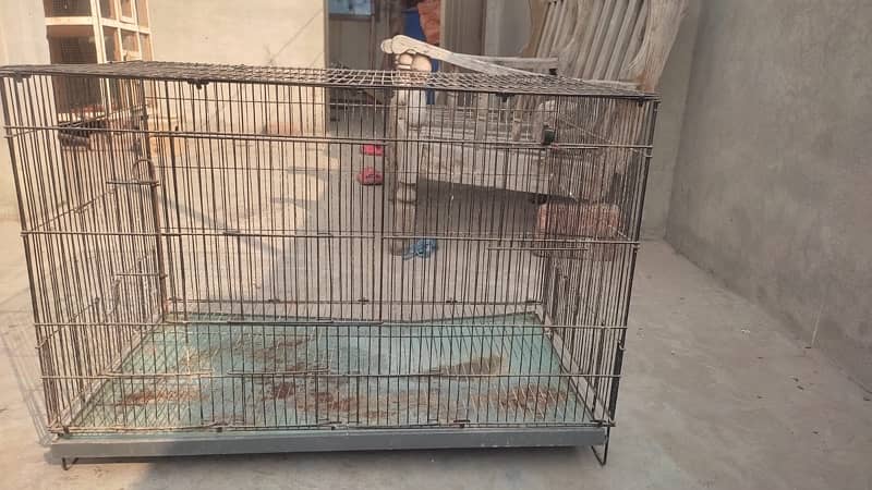 cage urgent sale birds fly cage 2.5 by 1.5 by 1.5 2