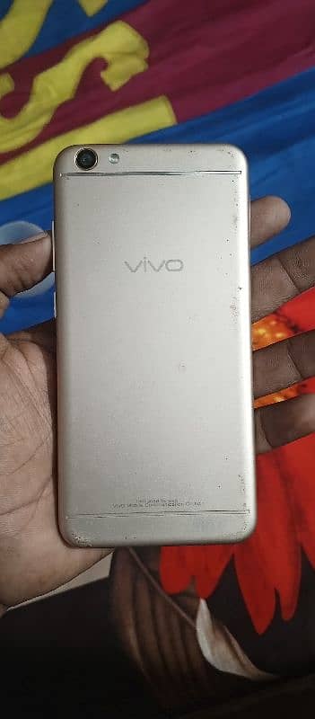 vivo v 66 1