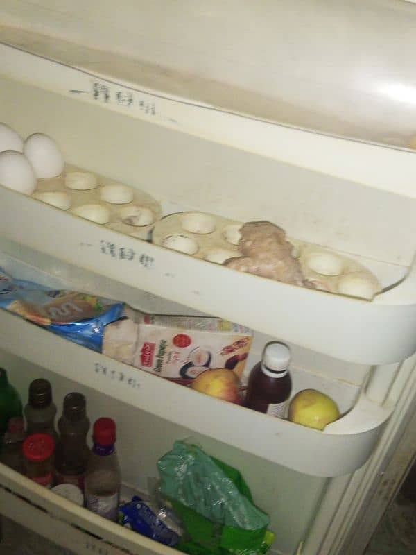 FRIDGE 4