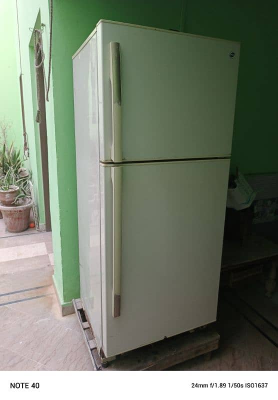 PEL fridge large size 0