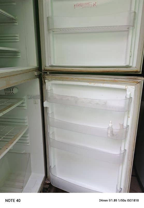 PEL fridge large size 2