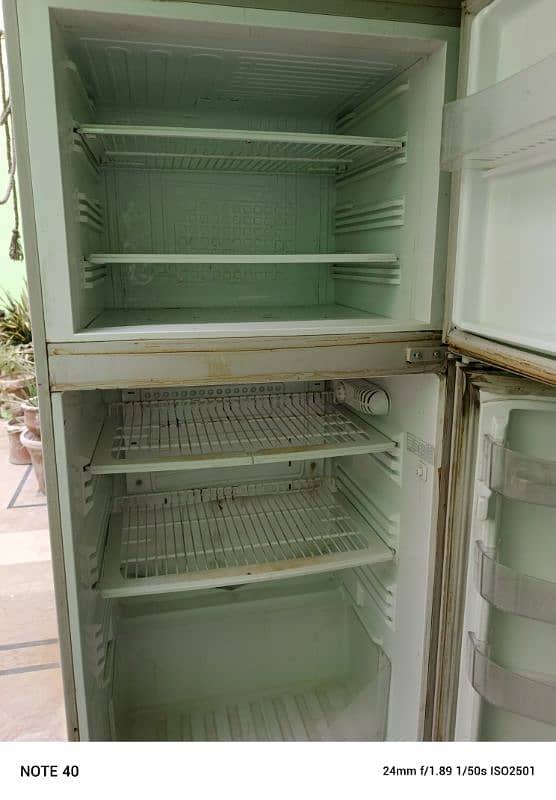 PEL fridge large size 3