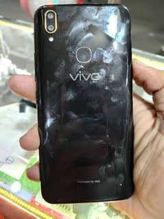 Vivo