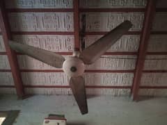 Celling Fan